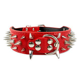 Dog Collar Spiked