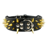 Dog Collar Spiked