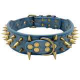 Dog Collar Spiked