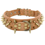 Dog Collar Spiked