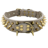 Dog Collar Spiked