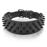 Dog Collar Spiked