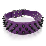 Dog Collar Spiked