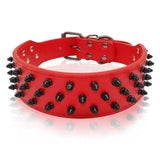 Dog Collar Spiked