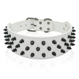 Dog Collar Spiked