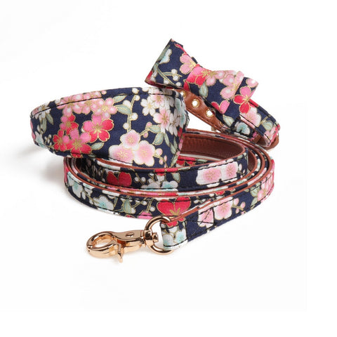 Dog Collar and Leas