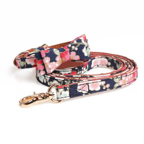 Dog Collar and Leas
