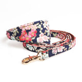 Dog Collar and Leas