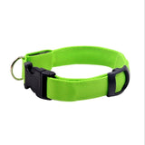 LED Dog Light Collar