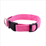 LED Dog Light Collar