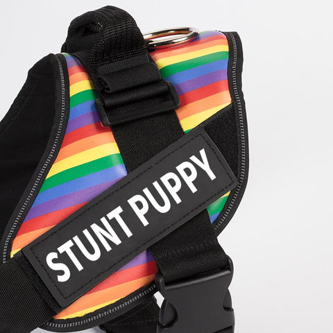 Stunt Puppy Dog Harness